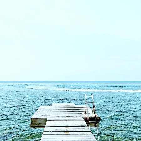 Koki Zantos Sea View